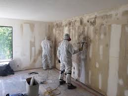 Why You Should Choose Our Mold Remediation Services in Rowland, NC